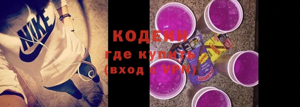 прущий лед Бородино